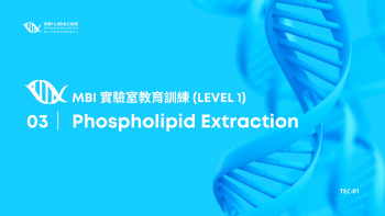 3. Phospholipid Extraction